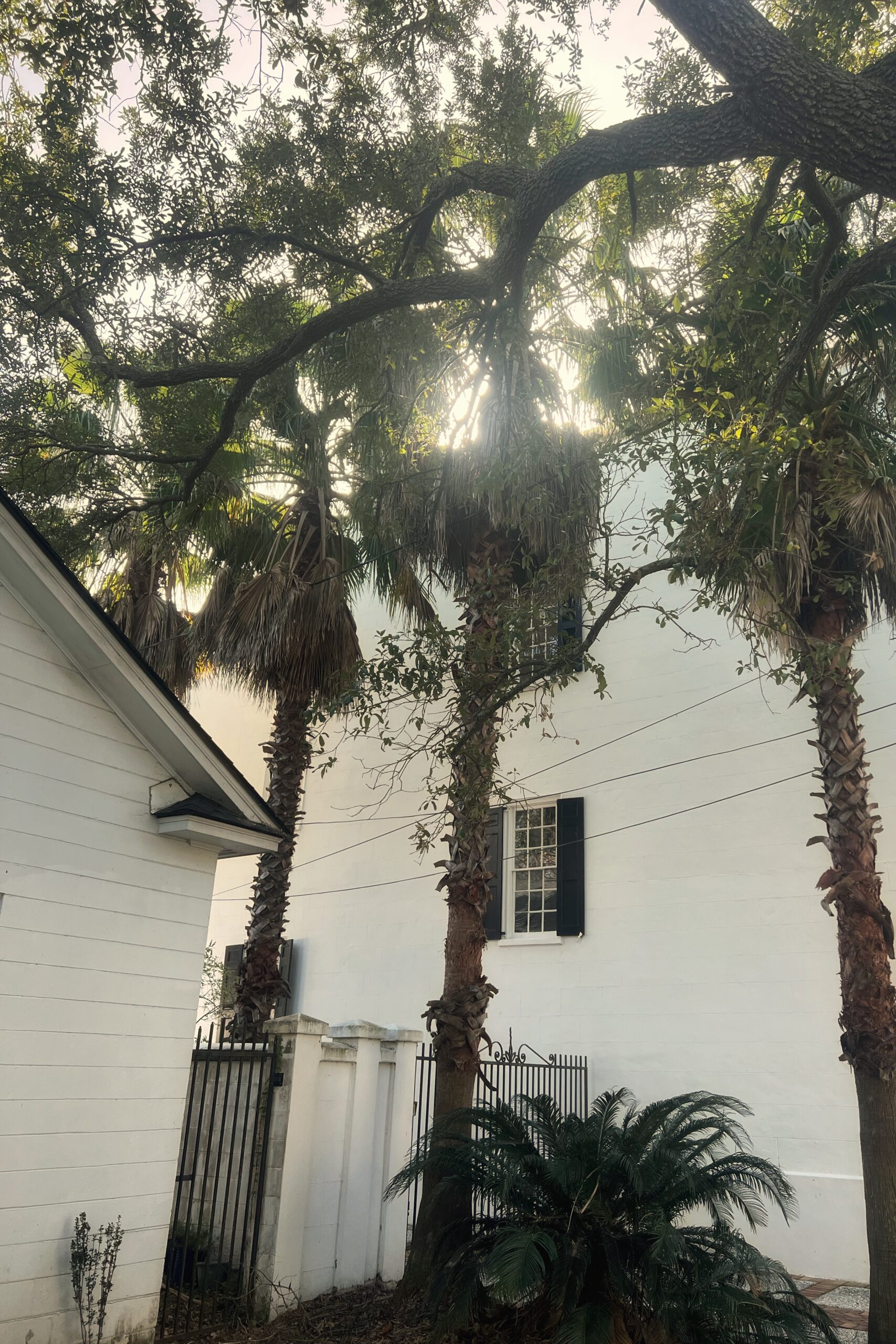 Charleston house Saying Hi | Your Favorite Blog Posts of 2022
