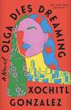 Olga Dies Dreaming | Great Books To Read On A Beach Vacation